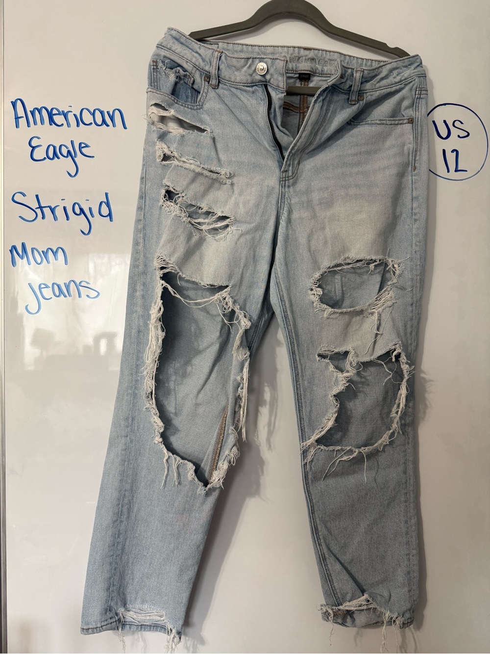 American Eagle Outfitters Light Wash Rigid Distressed Mom Jeans